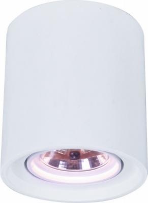 Светильник потолочный поворотный Arte Lamp арт. A9262PL-1WH