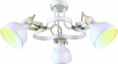 Светильник потолочный Arte Lamp арт. A5216PL-3WG